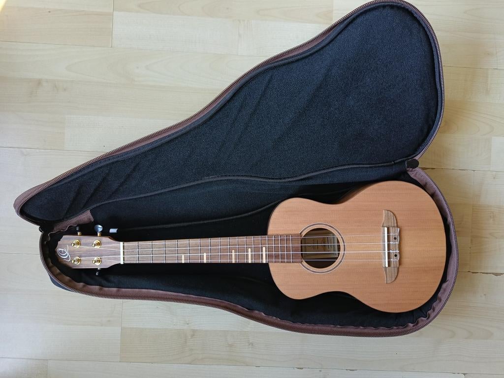 Ukulele ortega RUTI-TE, Ophalen, Zo goed als nieuw, Overige typen
