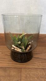 Glazen bloempot, Huis en Inrichting, Ophalen, Zo goed als nieuw