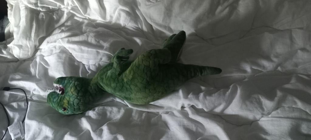 Groene dino knuffel, Ophalen, Groen, Overige merken, Overige karakters