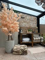 Mega bloesemboom ! 250cm, Ophalen, Zo goed als nieuw