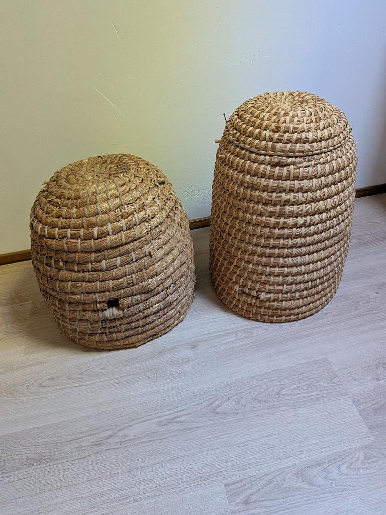 bijenkorven, Bijen