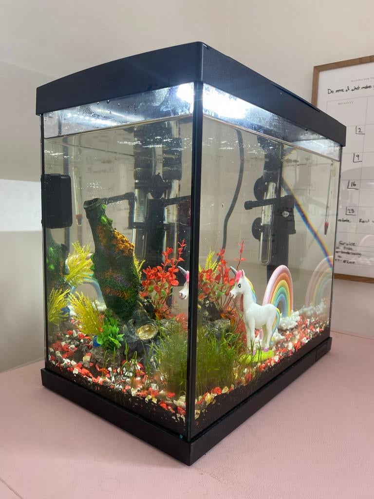 Superfish 50 aqarium, compleet! En nieuw, Dieren en Toebehoren, Ophalen, Inclusief deksel, Superfish, Gevuld zoetwateraquarium