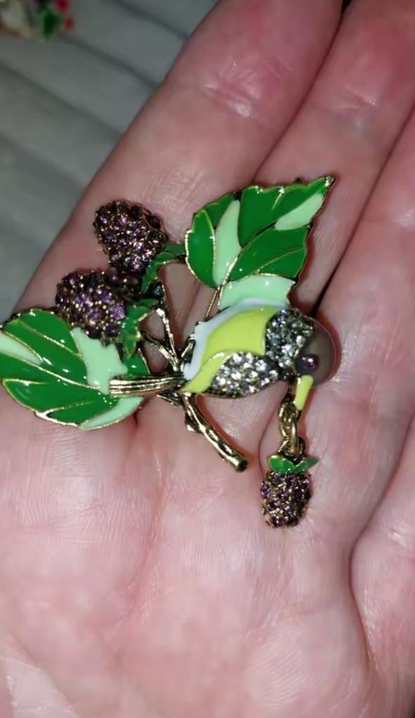 Nieuwe Broche Vogel met Bessen - Emaille en Strass, Sieraden, Tassen en Uiterlijk, Broches, Overige materialen, 4 tot 7 cm, Nieuw