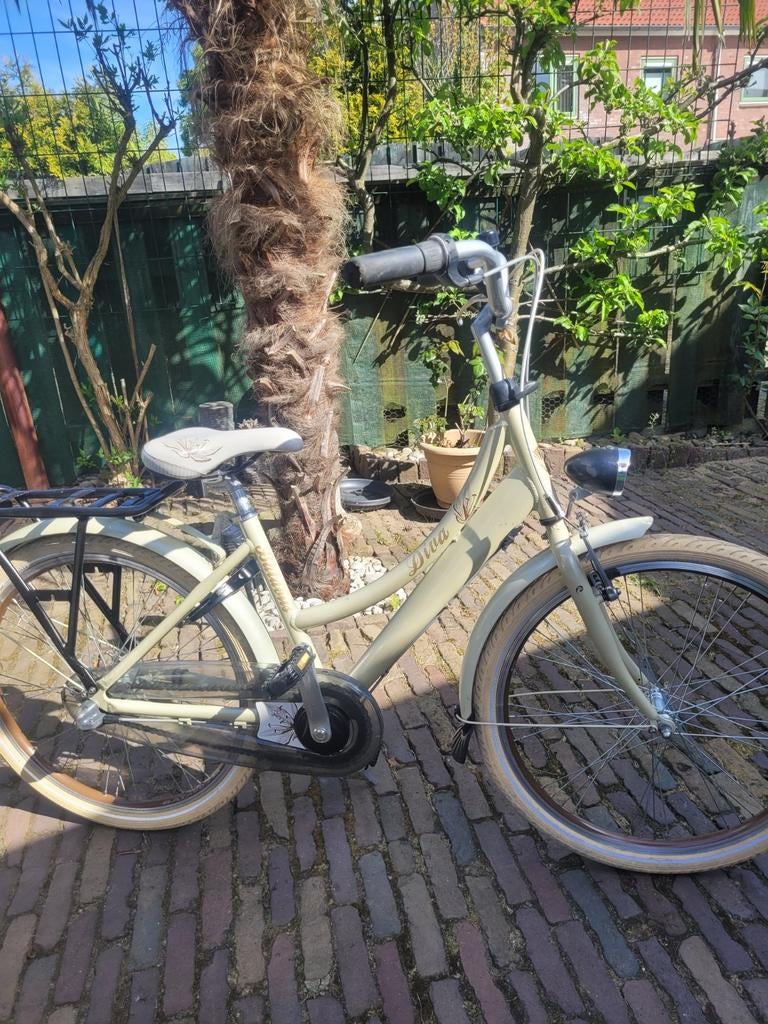 Batavus Diva Meiden fiets, Fietsen en Brommers, Ophalen, Gebruikt, 26 inch of meer, Handrem