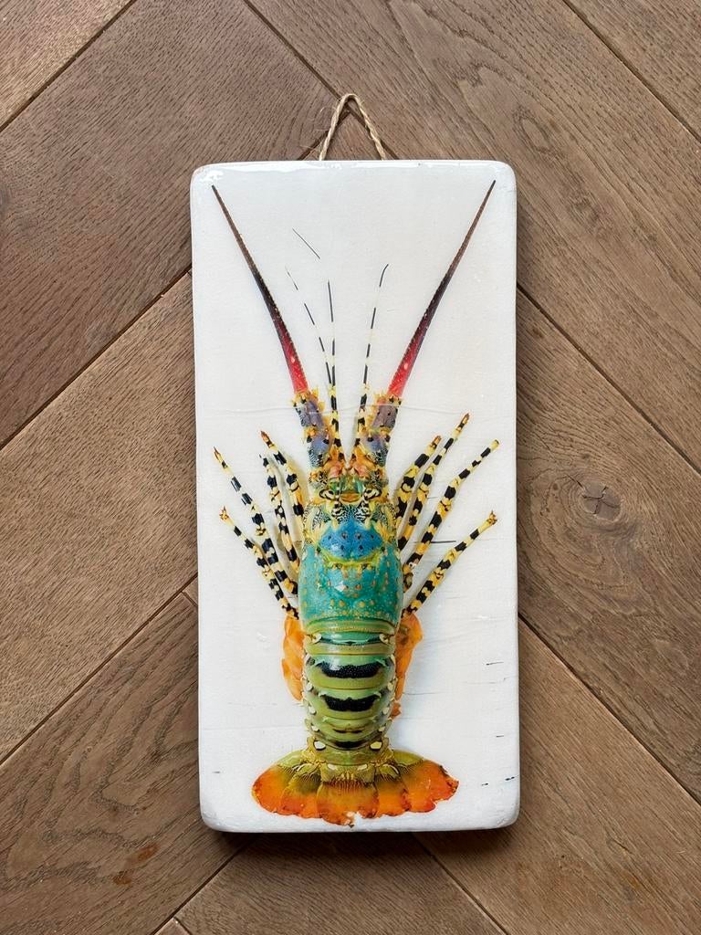 STIGER WOODS JUAL LOBSTER LAUT / RAINBOW LOBSTER (20X40), Ophalen, 20 cm, Hout, Meerkleurig