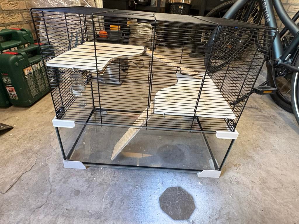 Hamster kooi, Minder dan 60 cm, Kooi, Minder dan 75 cm, Ophalen of Verzenden