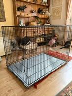 Grote bench (hond of kat), Ophalen