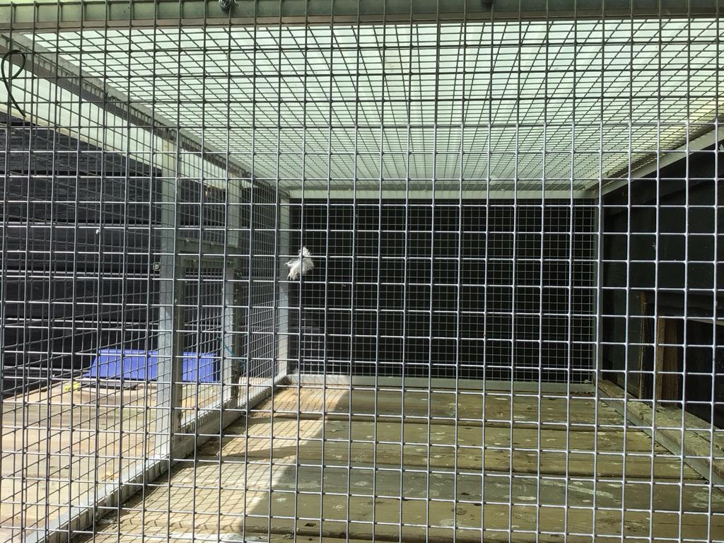 Duivenhok, Dieren en Toebehoren, Vogels | Hokken en Kooien, Ophalen