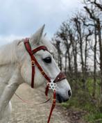 Uniek barok hoofdstel, Verzenden, Nieuw, Overige soorten