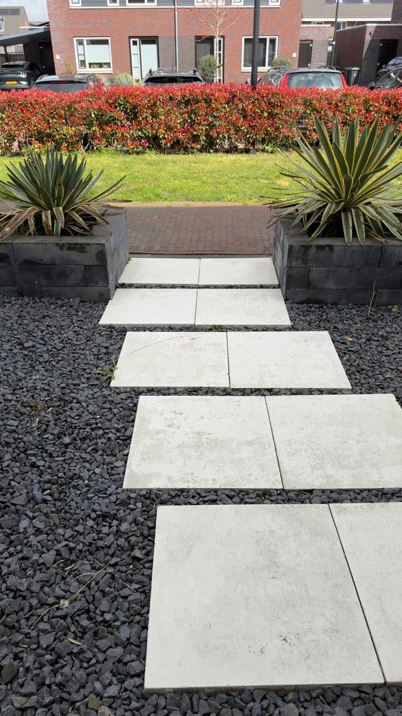 2x Yucca gloriosa Variegata tuinplanten, Ophalen of Verzenden, Zo goed als nieuw, Hout