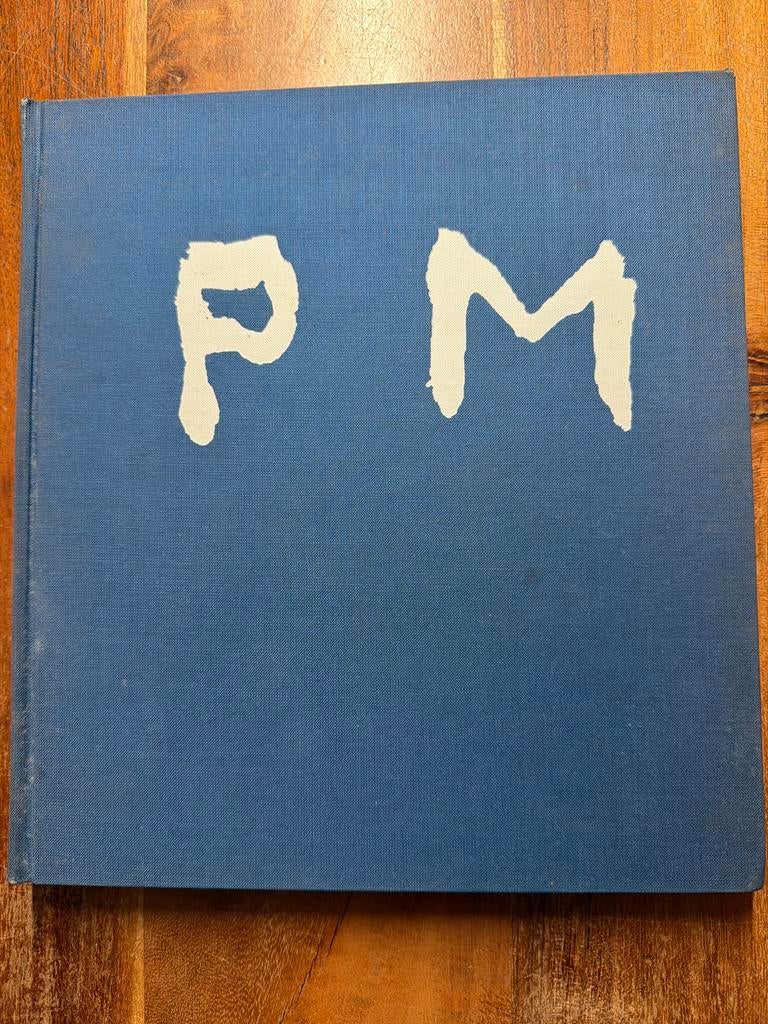 Piet Mondriaan door L.J.F. Wijsenbeek - Kunstboek, Ophalen of Verzenden, Gelezen, Overige onderwerpen