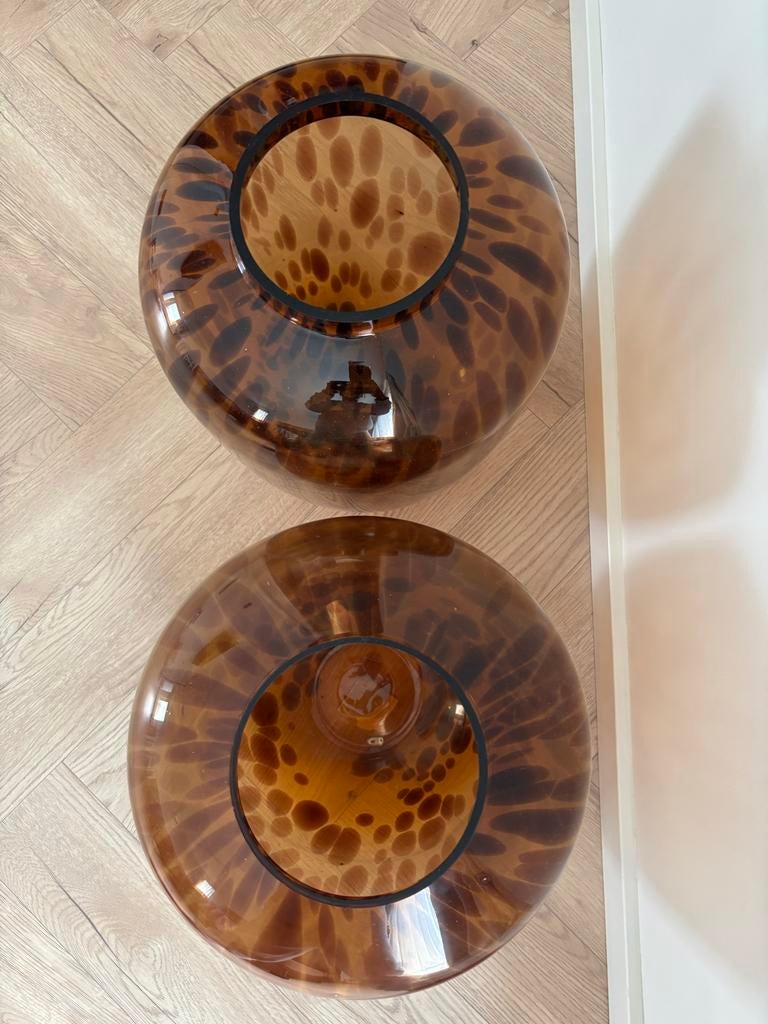 Bruine leopard vazen, Ophalen