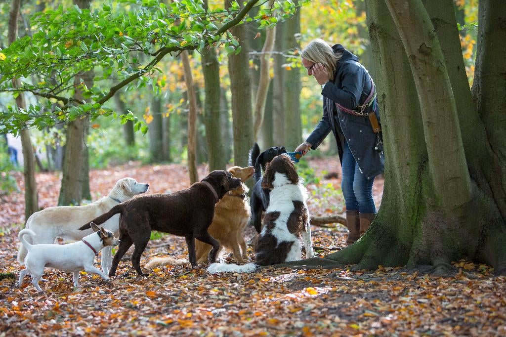 Stuk grond gezocht voor uitlaatservice in het Gooi, Uitlaatservice