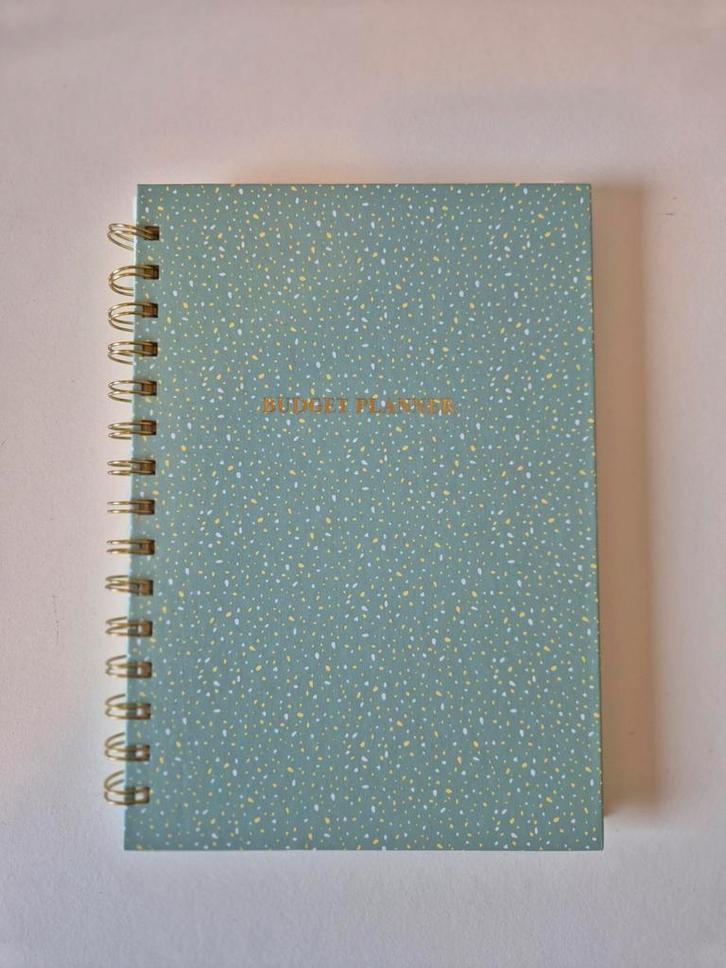 Budget planner / financieel planner – ringband, Diversen, Notitieboeken, Nieuw, Ophalen of Verzenden