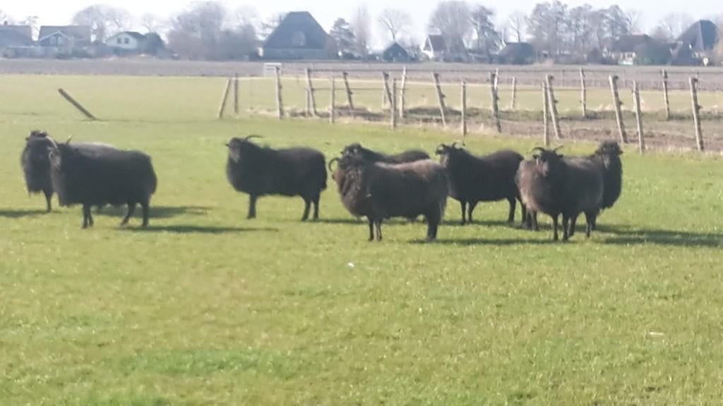 lotgenoten autisme gezocht