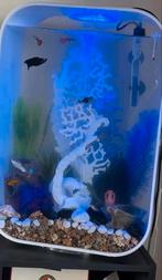 Biorb 45 liter, Dieren en Toebehoren, Ophalen, Zo goed als nieuw, Leeg aquarium