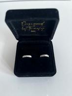 Franky Amsterdam - Felicity oorringen, Ophalen of Verzenden, Nieuw, Zilver