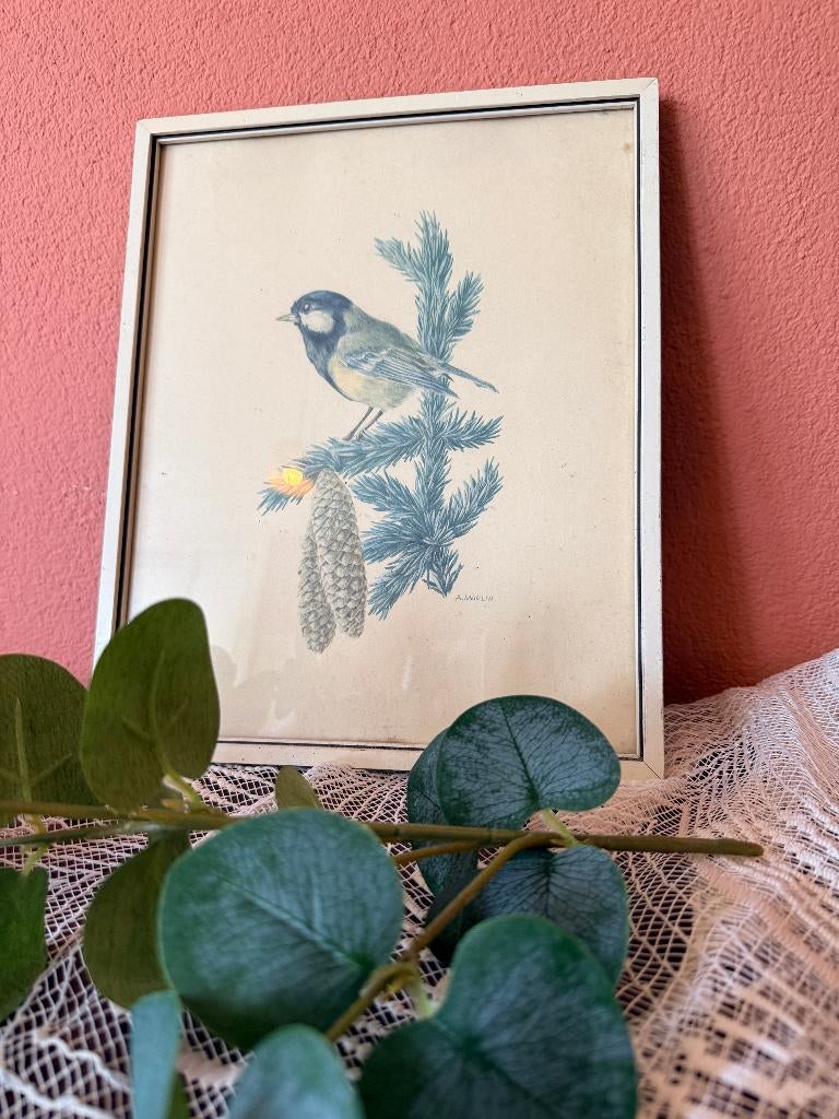 Vintage Botanisch/Vogel Schilderijtje, Ophalen, Minder dan 50 cm, Oorspronkelijke maker, Minder dan 50 cm