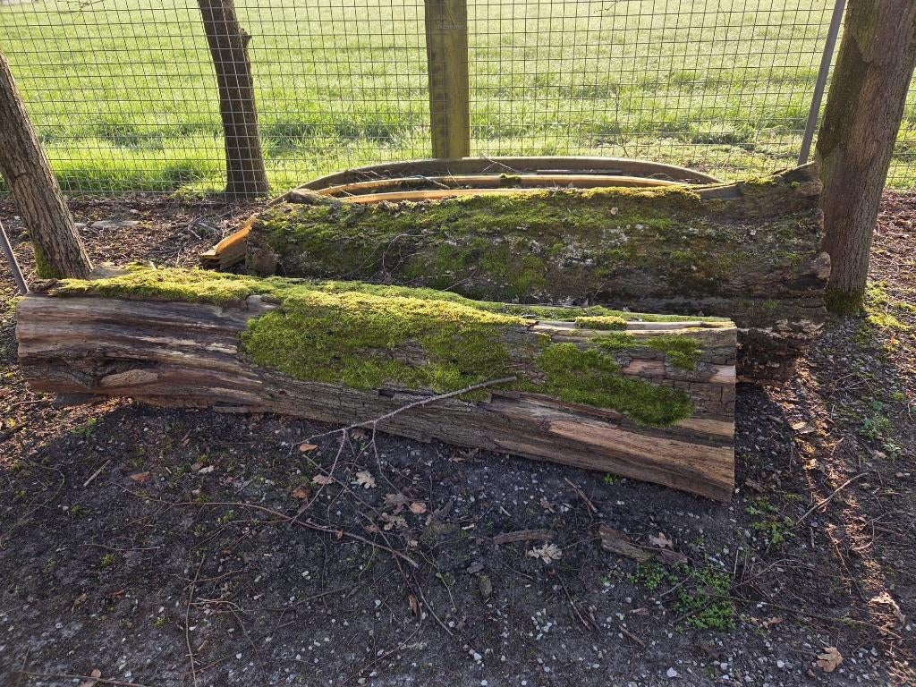 Brandhout beuk, Tuin en Terras, Haardhout, Minder dan 3 m³, Ophalen