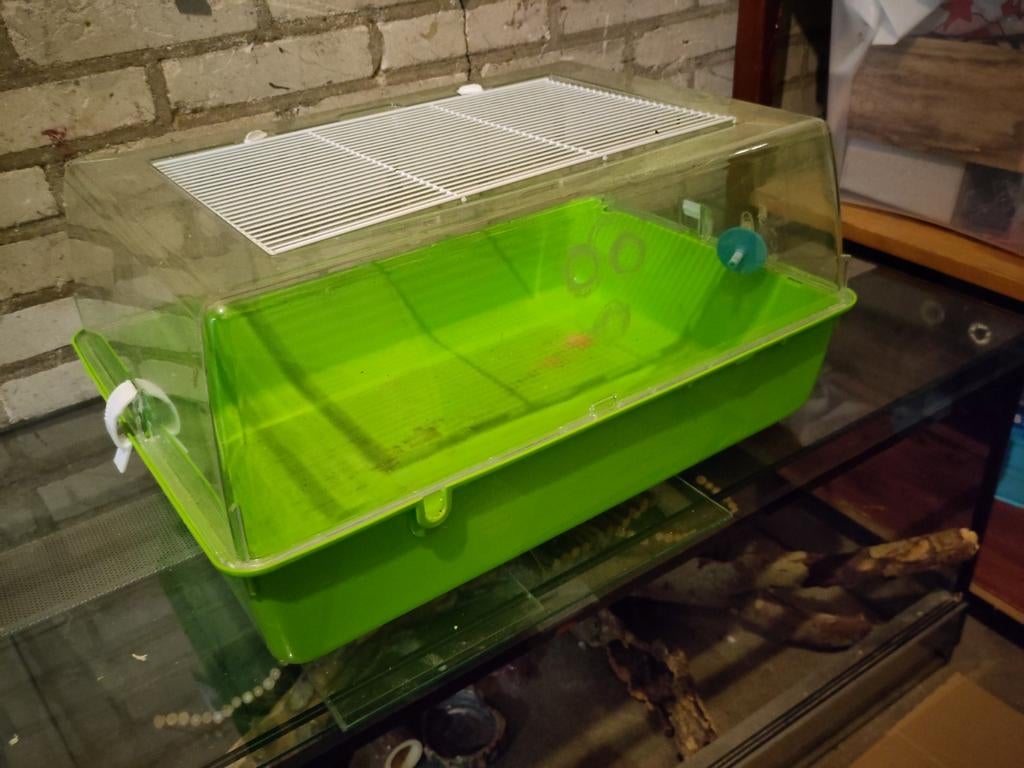 Hamster kooi met toebehoren, Ophalen