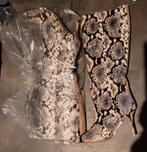 Nieuw! NIKKIE  Snake/Croco Print laarzen Maat 38, Kleding | Dames, Schoenen, Hoge laarzen, Overige kleuren, Nieuw, Ophalen of Verzenden