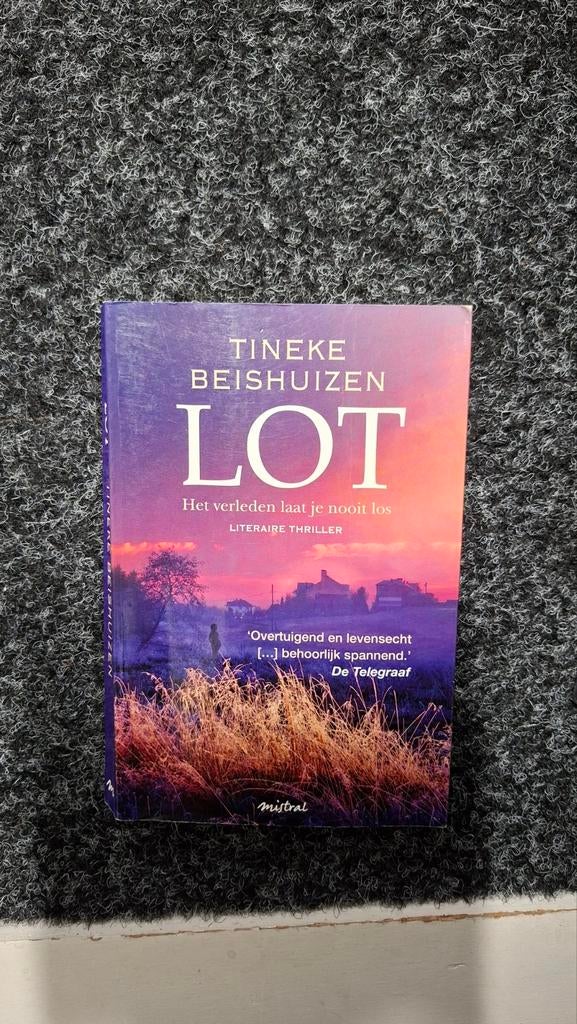 Lot - Tineke Beishuizen, Ophalen of Verzenden