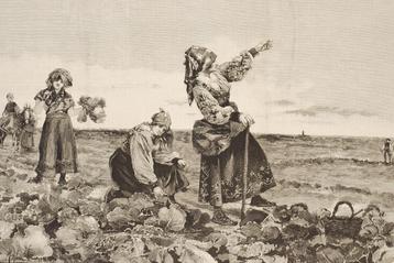 Pauze, boeren uit Salamanca - Manuel Alcázar y Ruiz (1897) beschikbaar voor biedingen