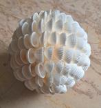 Nieuwe bal schelp bal wit badkamer, Ophalen of Verzenden, Nieuw