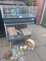 Hamsterkooi/ knaagdieren kooi mer heel veel toebehoren, Dieren en Toebehoren, Knaagdieren en Konijnen | Hokken en Kooien, Ophalen