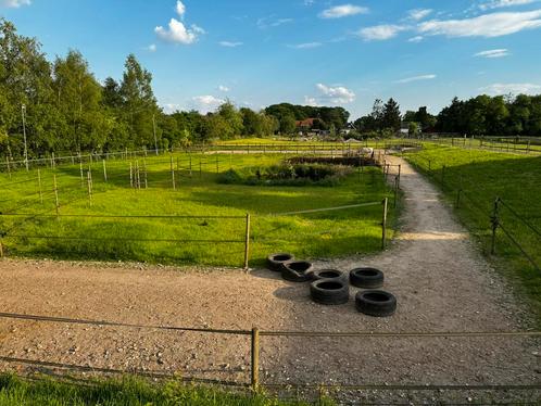 Paddock Paradise, Dieren en Toebehoren, Stalling en Weidegang, Weidegang