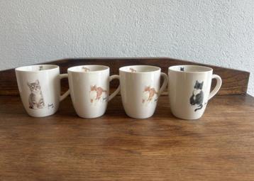 4 Franciens katten mokjes beschikbaar voor biedingen