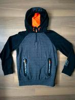 Trui maat 134, Ophalen of Verzenden, Zo goed als nieuw, Jongen, Trui of Vest