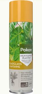 Pokon Bladglans Gewasbescherming 250ml Spuitbus v Kunstplant, Nieuw, Binnen, Ophalen of Verzenden