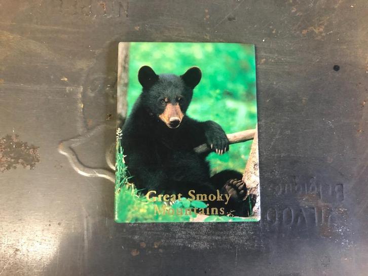 B391 Magneet Zwarte Beer Great Smoky Mountains, Verzamelen, Beren en Cherished Teddies, Zo goed als nieuw, Overige merken, Ophalen of Verzenden