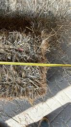 Mooie stro pakken te koop, Ophalen