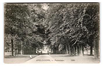 Apeldoorn, Paleislaan. Nauta 1920 beschikbaar voor biedingen