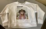 Sweater Dream ( Only), Maat 42/44 (L), Nieuw, Ophalen of Verzenden, Overige kleuren