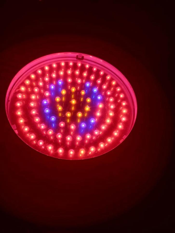 2x LED UFO Groeilamp 90W - Perfect voor Kweek!, Tuin en Terras, Kweekspullen, Gebruikt, Kweeklamp, Ophalen of Verzenden