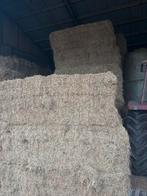 Paardenhooi, Ophalen of Verzenden, Vee