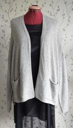 SIBIN LINNEBJERG Zilver-Grijs Vest maat XS=S/M ( Nieuw), Nieuw, Ophalen of Verzenden, SIBIN LINNEBJERG, Maat 36 (S)