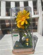 Springspin terrarium geel, Dieren en Toebehoren, Insecten en Spinnen, Spin of Schorpioen