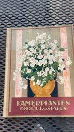 Kamerplanten, A.j. Van Laren, Boeken, Prentenboeken en Plaatjesalbums, Ophalen of Verzenden, Gelezen, A.J. van Laren, Plaatjesalbum