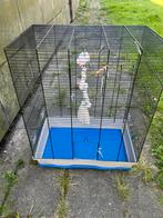 Vogelkooi, Ophalen of Verzenden, Zo goed als nieuw, Metaal, Vogelkooi