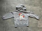 Trui maat 116, Ophalen of Verzenden, Gebruikt, Meisje, Trui of Vest