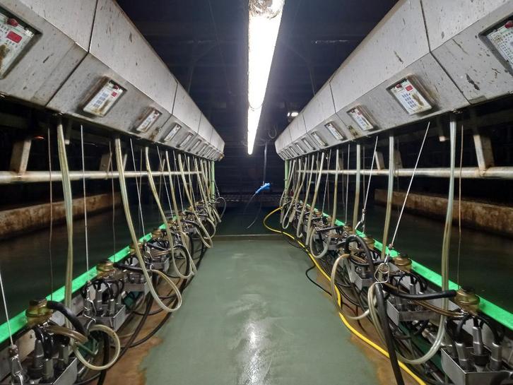 Westfalia melkstal, Zakelijke goederen, Agrarisch | Werktuigen, Veehouderij, Melktechniek, Ophalen