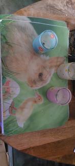 Placemats Pasen, Overige materialen, Gebruikt, Ophalen of Verzenden, Wit