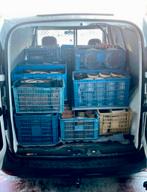 Partij Bonsai potten scherpe prijzen bij AFHALEN!!!, Tuin en Terras, Ophalen, Zo goed als nieuw, Overige vormen, Aardewerk