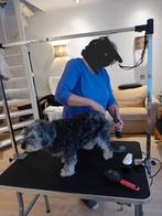 Honden trimtafel, Ophalen, Zo goed als nieuw