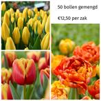 Tulpenbollen Gemengd - 50 stuks, Ophalen of Verzenden, Najaar, Volle zon, Bloembol