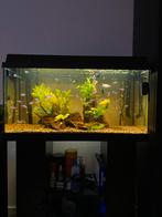 Juwel Primo 110L incl Jbl buitenfilter en luchtpomp., Ophalen, Zo goed als nieuw, Gevuld zoetwateraquarium